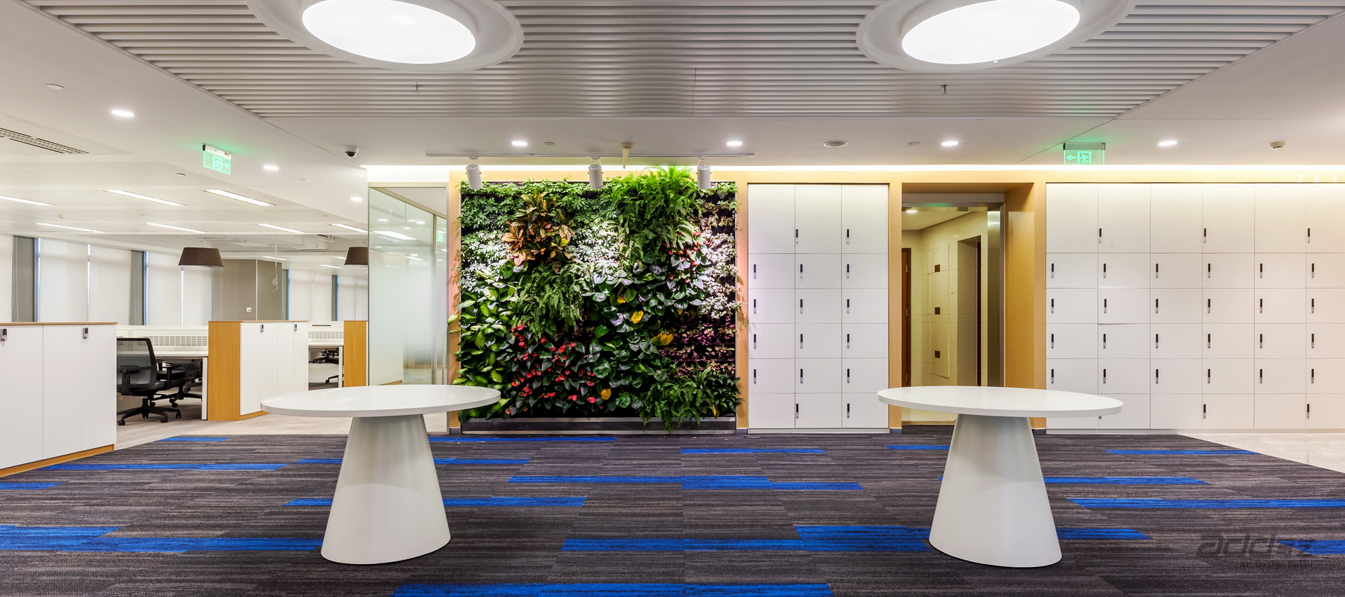 德邦证券办公室装修-绿植墙-pc